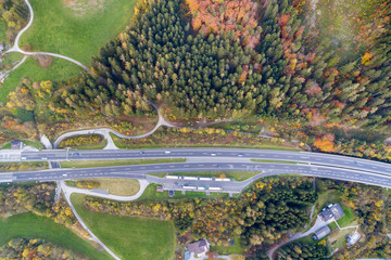 Top dawn aerial view of freeway speed road between yellow autumn forest trees in rural area.