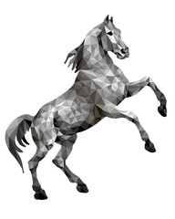 horse silver, isolated image on white background in low poly style © Viktoria Suslova