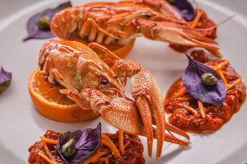Close up boiled crayfish on a plate. Delicacy with chili pepper sauce, basil and capers. Gourmet cuisine.