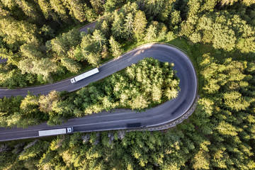 Aerial view of winding road in high mountain pass trough dense green pine woods. - Powered by Adobe