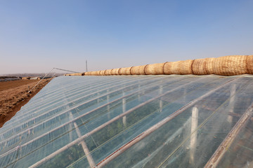 Appearance of Vegetable Greenhouse