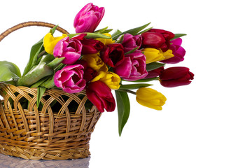 Tulips in a wicker basket