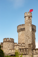 Fototapeta na wymiar Black Rock Castle tower with red flag in a Cork