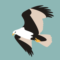 eagle bird, vector illustration, flat style