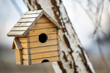 Small wooden bird house hanging on a tree branch outdoors.