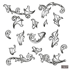 Set of element baroque engraving floral scroll