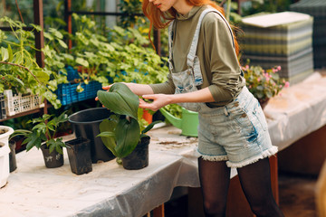 Fototapeta na wymiar Home gardening concept. Young pretty woman planting plants in flowerpot. Spring home garden plant.
