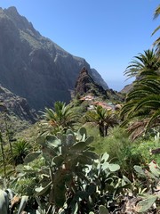Fototapeta na wymiar Beautiful mountain village Masca in Tenerife, Canary Islands, Spain 