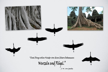 Wurzeln und Flügel