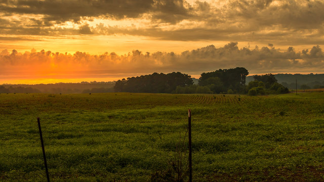 Early Morning in Joppa