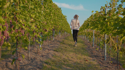 Stylish woman walk vineyards with glass of red wine smile feel happy organic connecting with nature agriculture sunny travel countryside field grape green rural view tasting slow motion