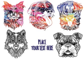 Dog breeds. Children's coloring, meditative coloring. English bulldog, huskyand Labrador. Meditative pattern. Dots, stripes, wool.