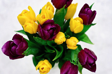 Bouquet of purple and yellow spring tulip flowers on a light background close-up. Copy space. Mothers Day. International Women's Day.