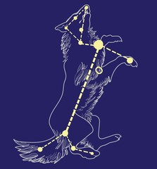  Constellation dog. This constellation inscribed in the contour. Starry sky map, T-shirt print, postcard. Drawing with watercolors.