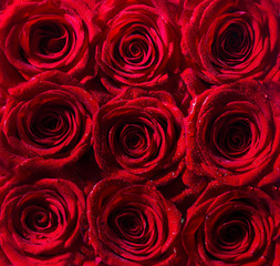 Bouquet of fresh roses, flower bright background. Red rose flower, petals. Bouquet of flowers, fresh red rose. Collage of red roses. A close up macro shot of a red rose. Flower shop