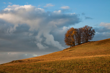 Fototapeta na wymiar dramatic cloud - beautiful landscape in autumn