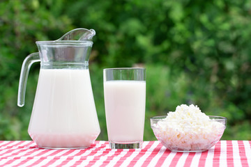 Milk and cottage cheese on red checkered tablecloth