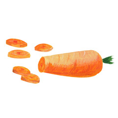 Carrot as a fresh vegetable in cookery. Watercolor gouache hand drawn illustration of sliced carrot