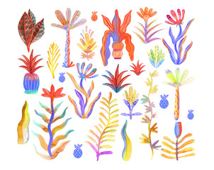 Watercolor illustration. Raster. Stylized plant. Set of exotic plants