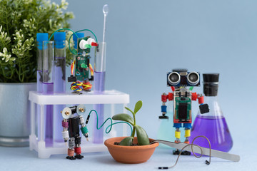Metal robots conduct chemical and biological experiments in the laboratory. Grow a plant. Robotics and electronics. DIY robotics. STEM and STEAM education for kids. School lesson.