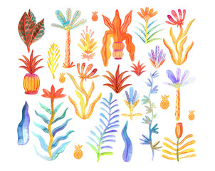 Watercolor illustration. Raster. Stylized plant. Set of exotic plants