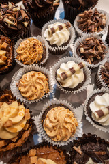 An assortment of cupcakes seen form above.