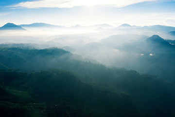 Fototapeta premium Aerial view of sunrise with tea plantation and fog