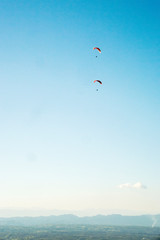 kite in the sky