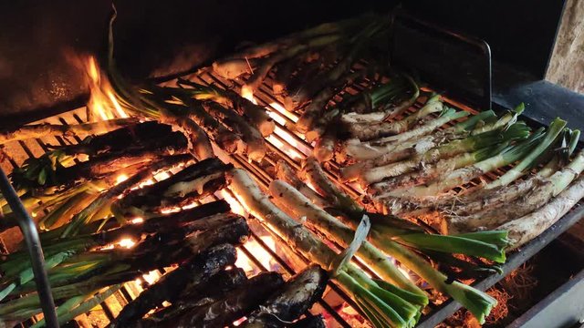 Cooking catalan cal&ccedil;ots on the barbecue, typical sweet onions from Valls (Catalonia)