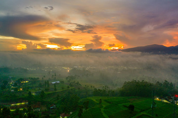 Landscape of plantation and village with fog