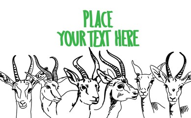 Jeyran. African animals. Background with antelope. Drawing by hand, place for text.