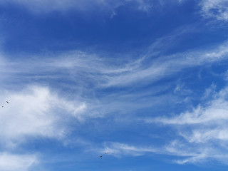 Sunny day, bright blue sky with clouds and bird in flight - background for design, decoration or wallpaper