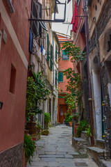 Obraz na płótnie Canvas narrow street in italy