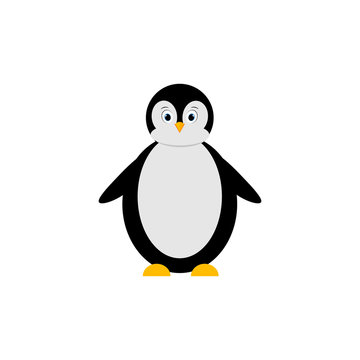 Isolated illustration of cute penguin on white background