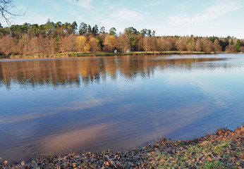 Herbst am Jägersburger Brückweiher bei Homburg – Jägersburger Weiher - Buntes Laub in der...