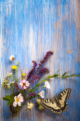 Spring butterfly and flower on blue wood