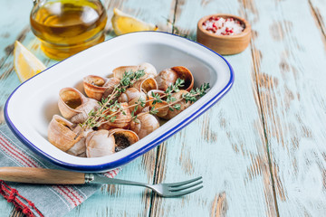 Bourgogne Escargot Snails with herbs butter in enameled baking dish on rustic wooden background. Selective focus