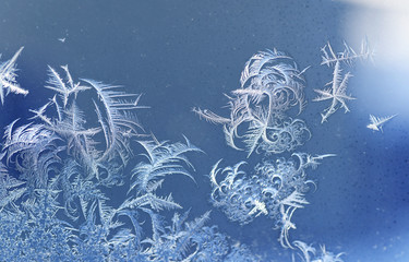 frost crystal on window glass in winter season