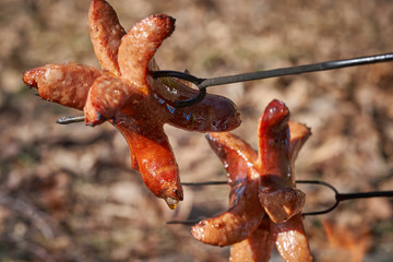 Two grilled tasty pork small sausages in the flames of campfire ring on small steel spit. Traditional czech small snack or fast food, typical for outdoor activities in Czech Republic or Slovakia.