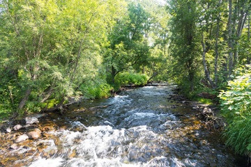 Obraz premium Mountain Stream, Kamchatka Peninsula, Russia.