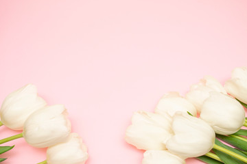 Spring background! Bouquet of white tulips on a pink background. Holiday Greeting Card for Valentine's Day, Women's Day, Mother's Day, Easter!