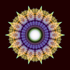 Fractal mandala, oriental pattern