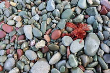 A macro of a collage of beach pebbles and rocks. There's a piece of red seaweed in the top right corner. The rocks are blue, grey and pink in color. The seaweed is a deep rusty red color. 
