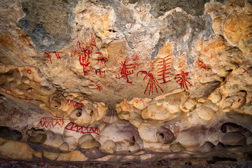  paleontology, paleontologia, rock paintings,  old painting, pintura rupestre, pinturas rupestres,...