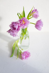 Spring flowers. Bouquet of purple tulips on white background.