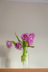 Spring flowers. Bouquet of purple tulips on white background.