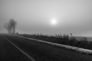 foggy road with icy grass ans sun with clouds