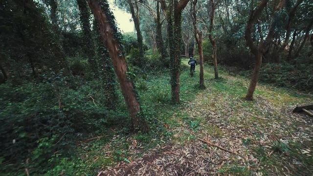 aerial view mountain bike rider jumping 
