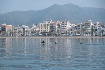 Fototapeta premium Cormoranes tomando el sol en el mediterráneo