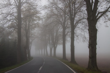 Obraz premium impressions from Rathmannsdorf in saxony/ germany